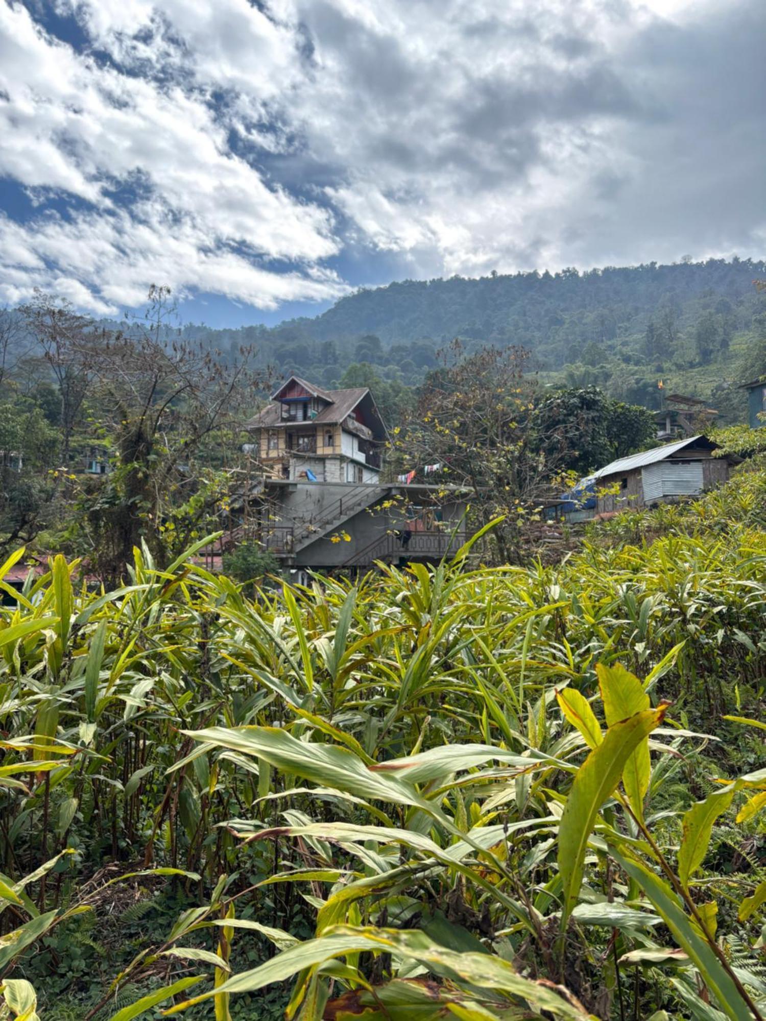 Odyssey'S Darap Eco Retreat Apartment Pelling Exterior photo