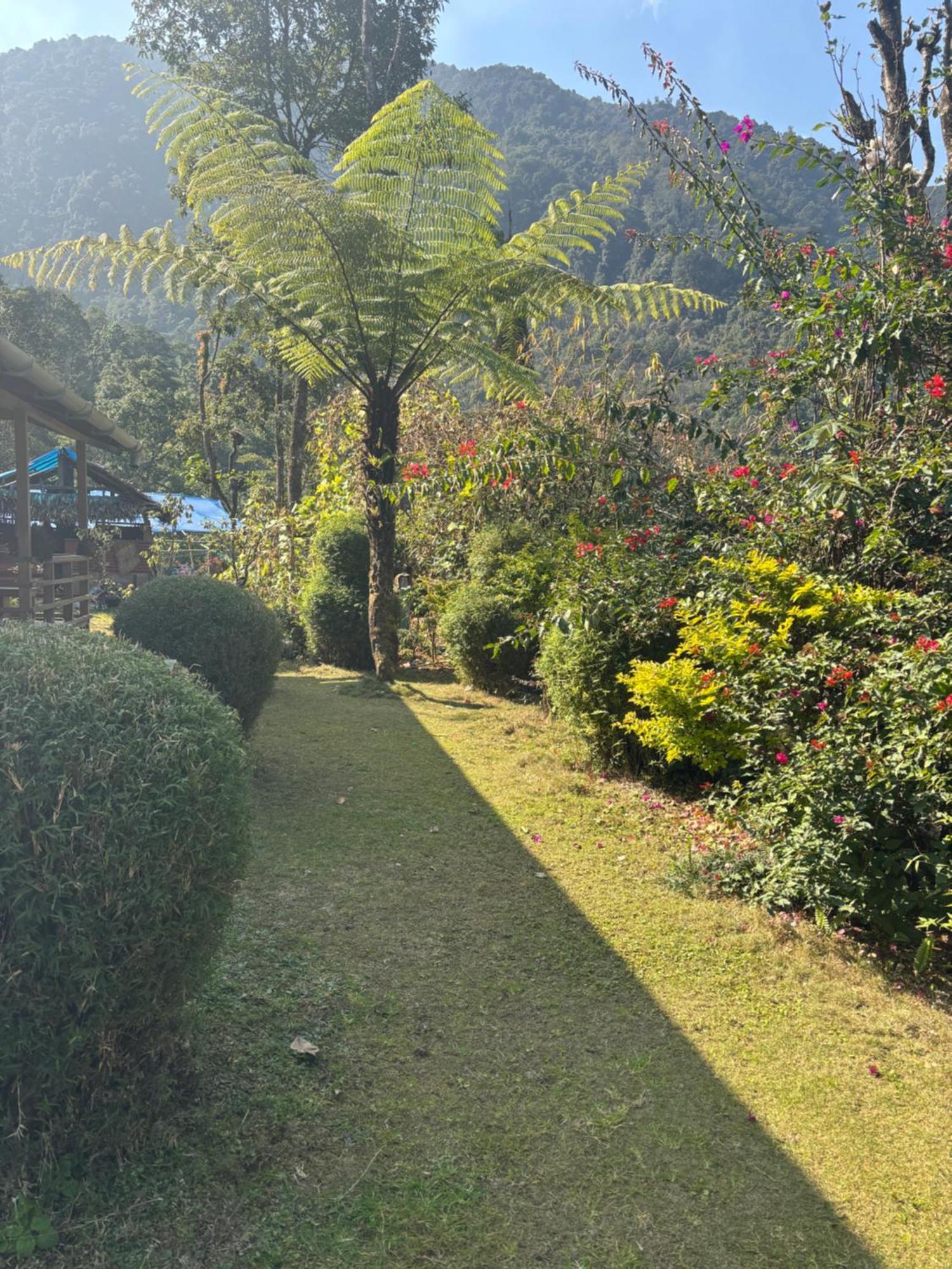 Odyssey'S Darap Eco Retreat Apartment Pelling Exterior photo